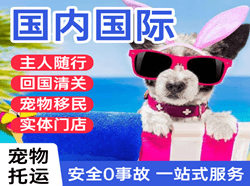 怀化芷江航空运输国际宠物托运 【国